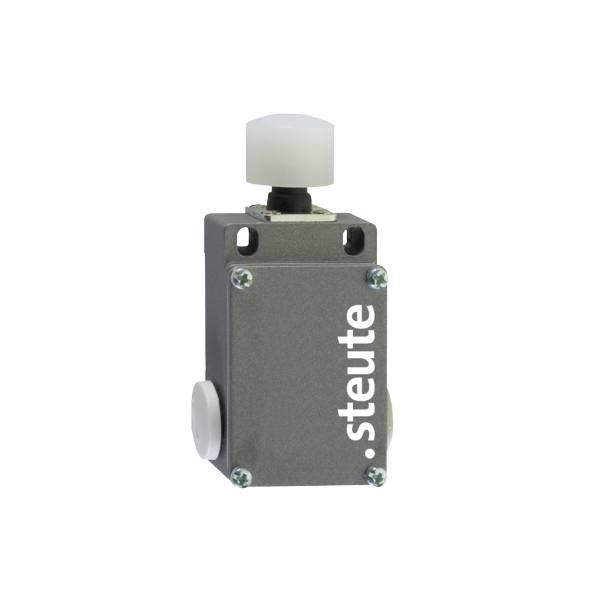 43208001 Steute   